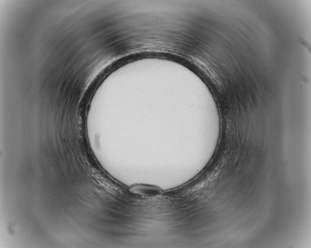 X0000096210926200802081458