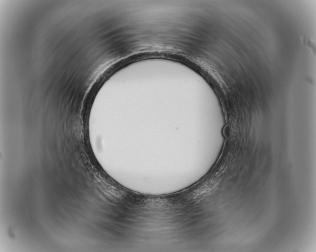 X0000096210927200802081458