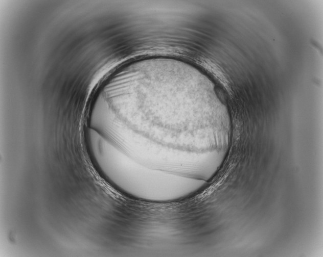 X0000096210928200802081458