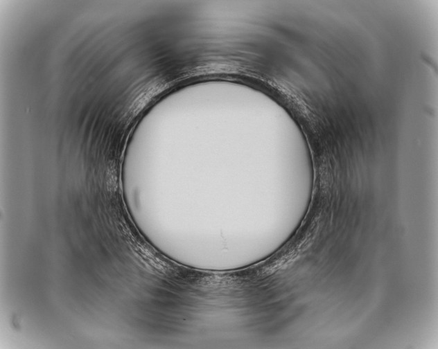 X0000096210929200802081458