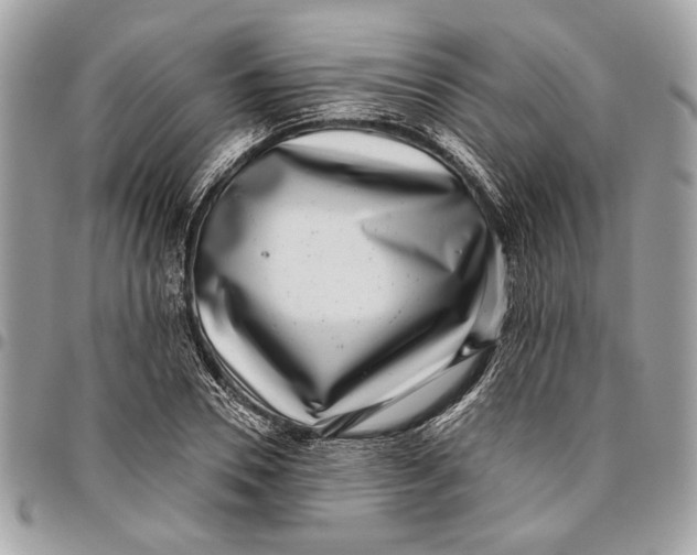 X0000096210930200802081458