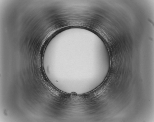 X0000096210931200802081458