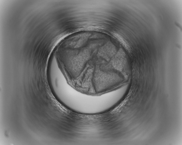 X0000096210932200802081458