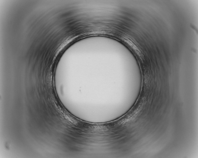 X0000096210933200802081458