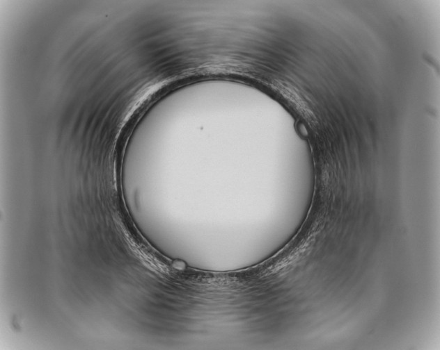 X0000096210934200802081458