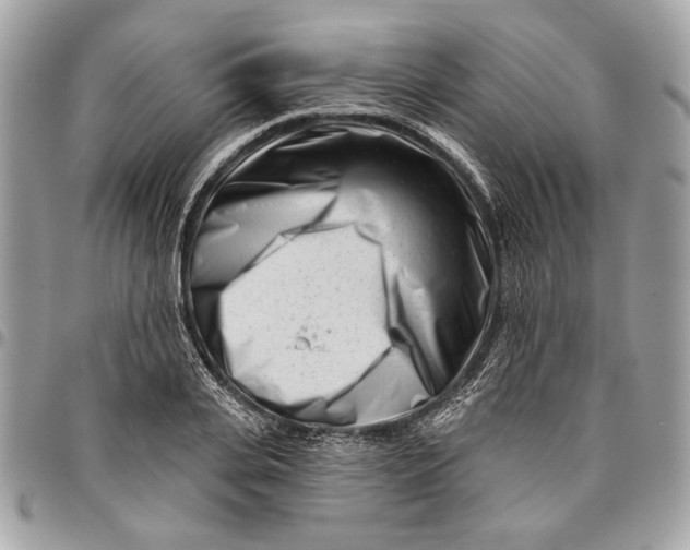 X0000096210935200802081458