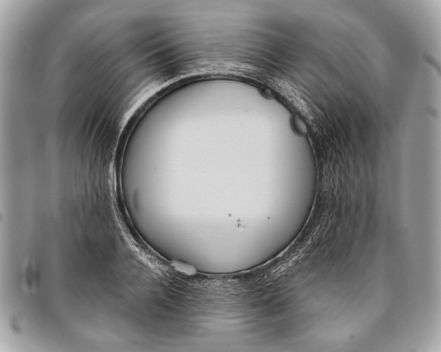 X0000096210936200802081458