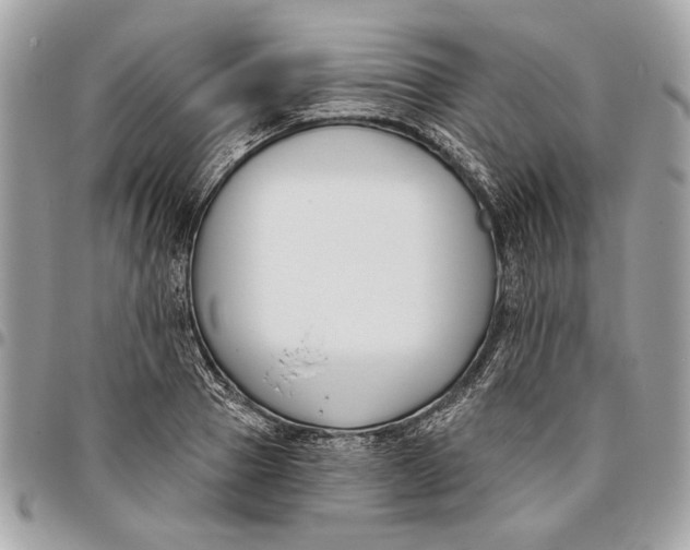 X0000096210937200802081458