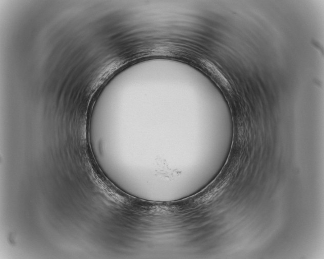 X0000096210938200802081458