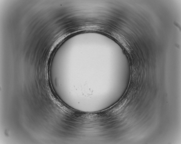 X0000096210939200802081458