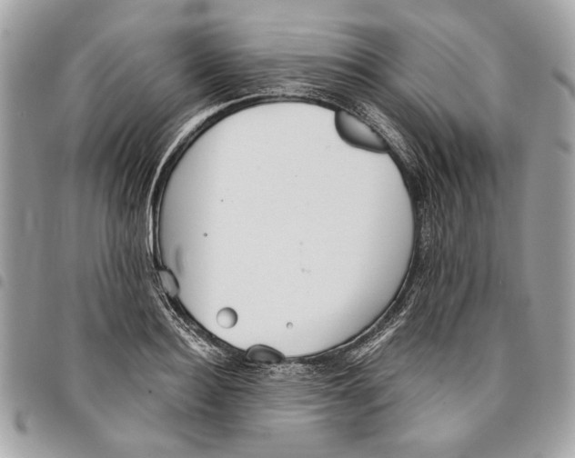 X0000096210940200802081458