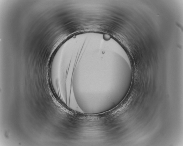 X0000096210941200802081458