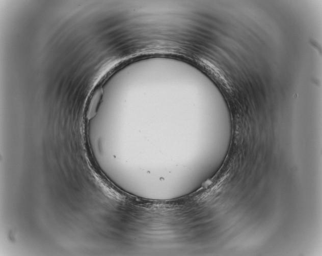 X0000096210942200802081458