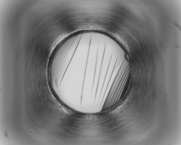 X0000096210943200802081458