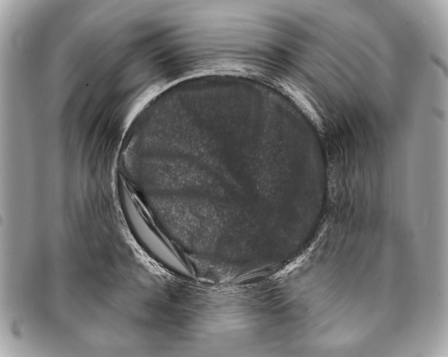 X0000096210944200802081458