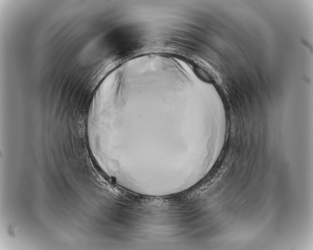 X0000096210945200802081458