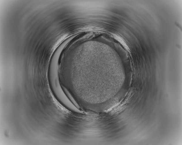 X0000096210946200802081458