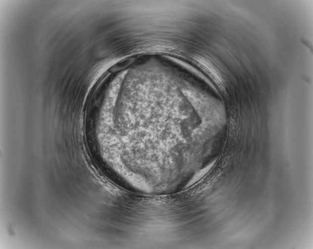 X0000096210948200802081458