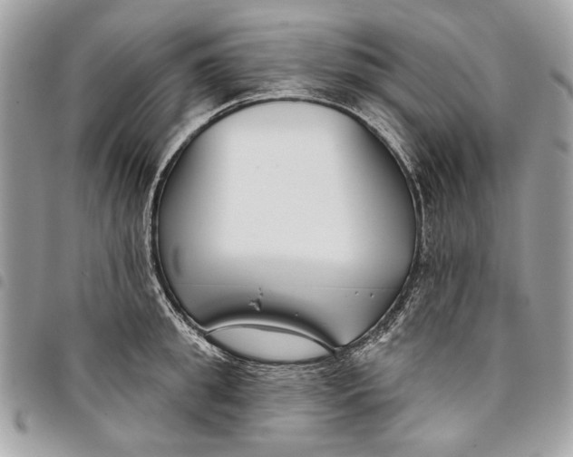 X0000096210949200802081459