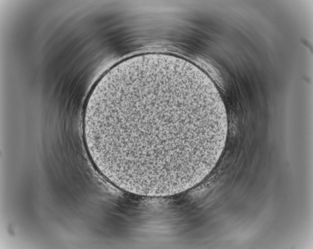 X0000096210950200802081459