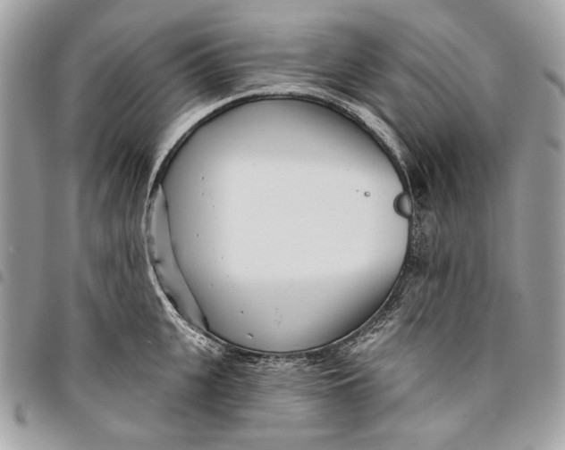 X0000096210951200802081459