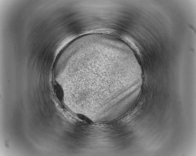 X0000096210952200802081459