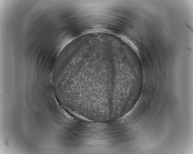 X0000096210953200802081459