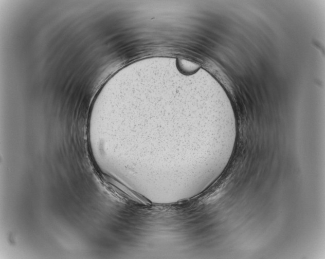 X0000096210954200802081459