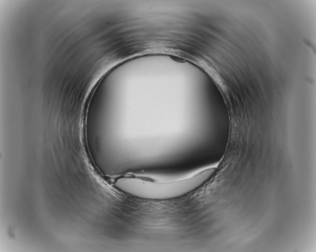 X0000096210955200802081459