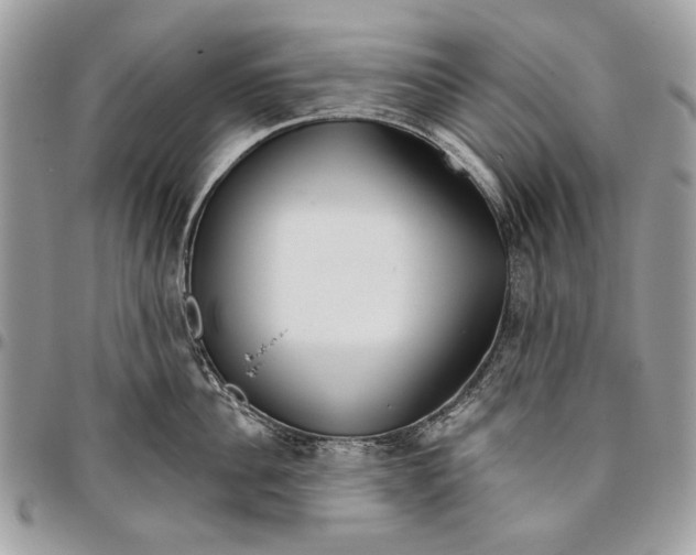 X0000096210956200802081459