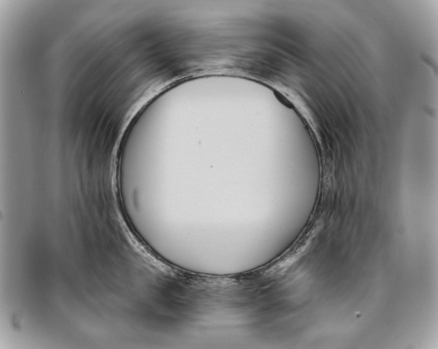 X0000096210957200802081459