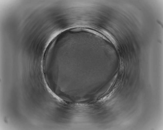 X0000096210958200802081459