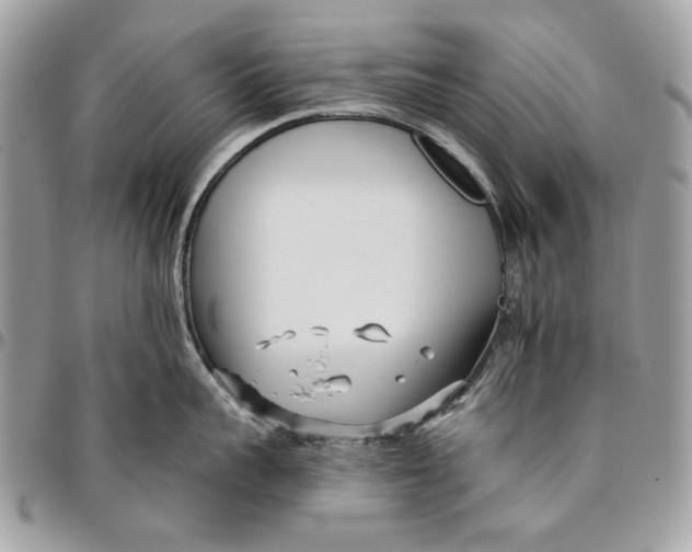 X0000096210959200802081459