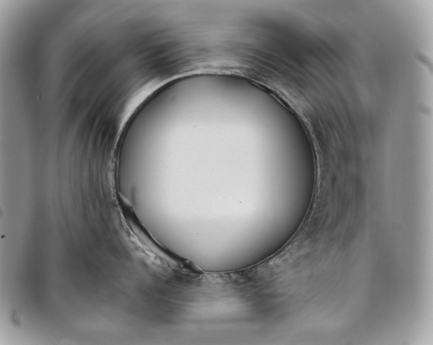 X0000096210960200802081459