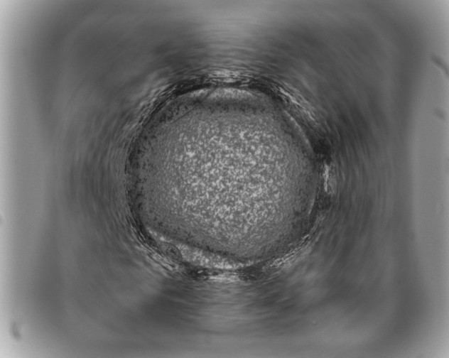 X0000096210961200802081458