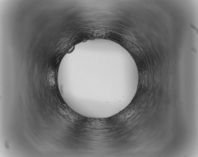 X0000096210962200802081458