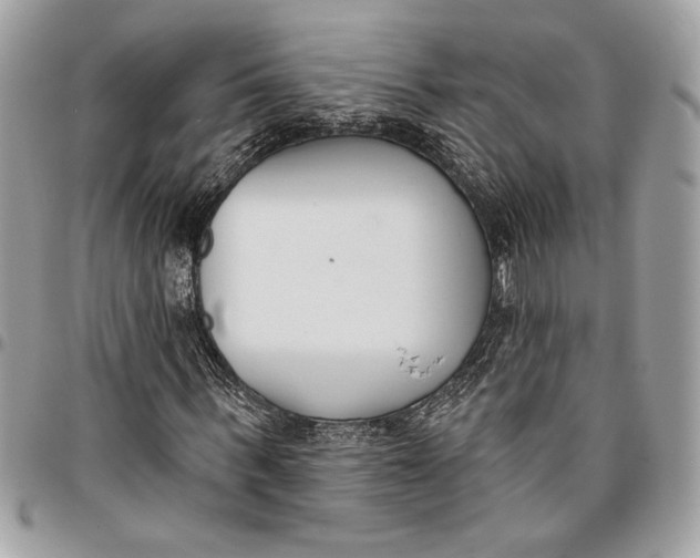 X0000096210963200802081458