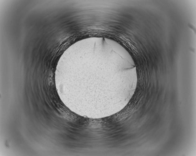 X0000096210964200802081458