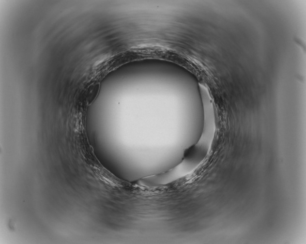 X0000096210965200802081458