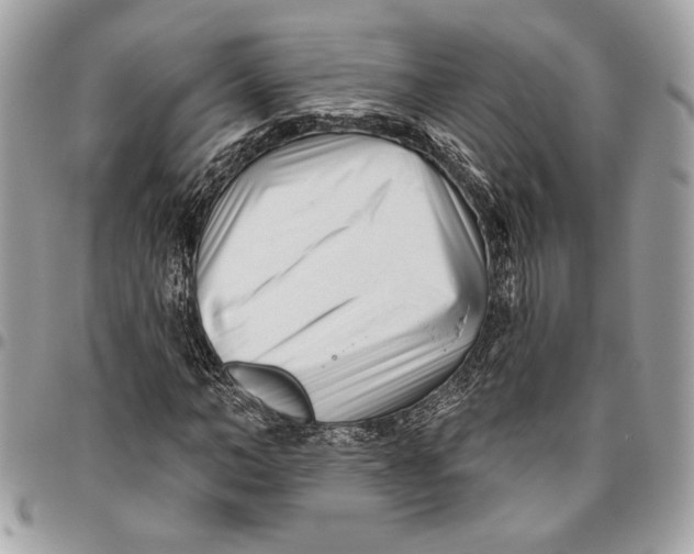 X0000096210966200802081458