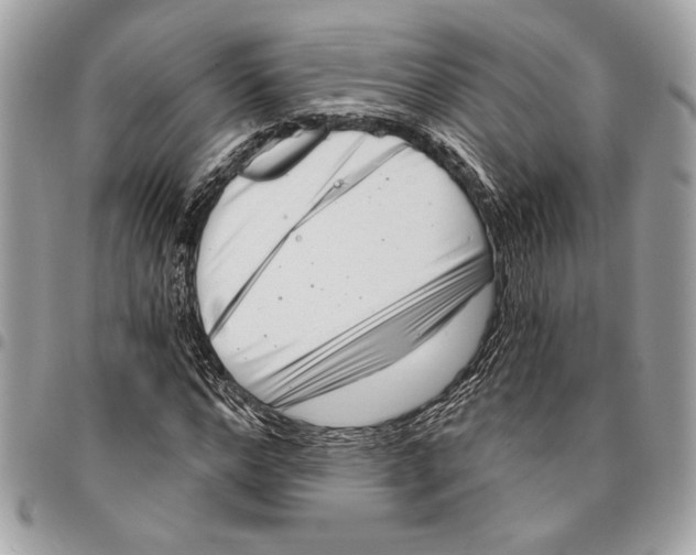 X0000096210968200802081458