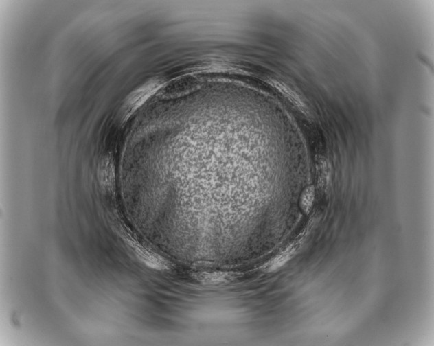 X0000096210969200802081458