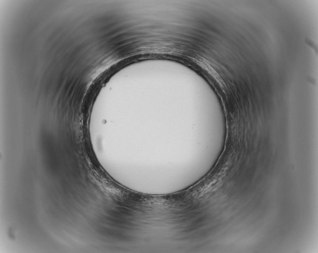 X0000096210971200802081458