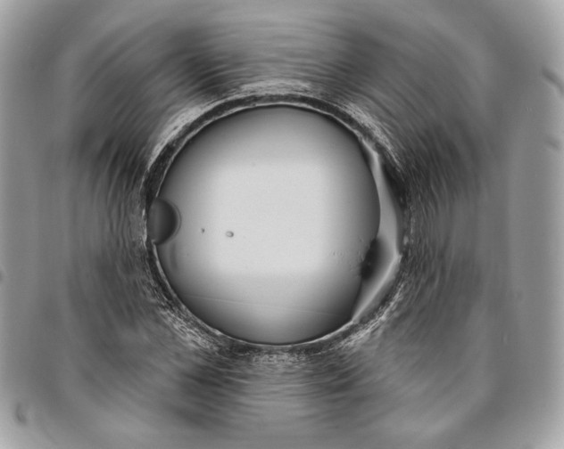 X0000096210973200802081458