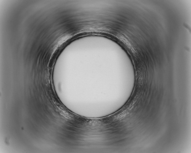 X0000096210974200802081458