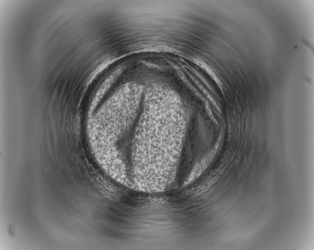 X0000096210975200802081458