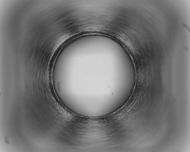 X0000096210976200802081458