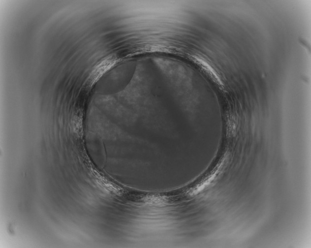 X0000096210977200802081458