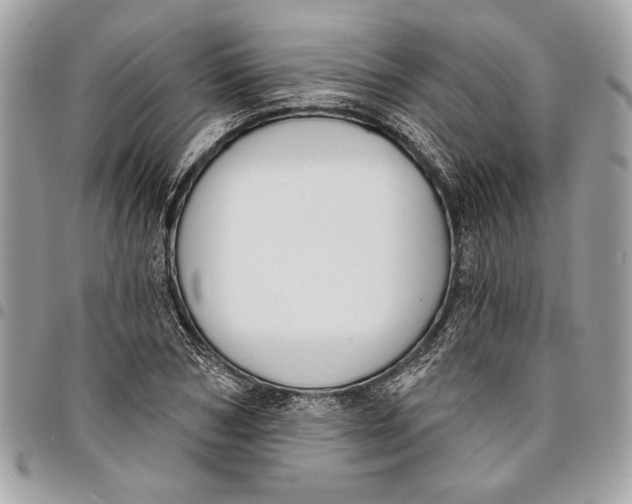 X0000096210978200802081458