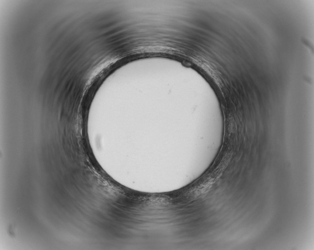 X0000096210979200802081458